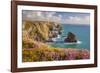 Pink Thrift Flowers, Bedruthan Steps, Newquay, Cornwall, England, United Kingdom-Billy Stock-Framed Photographic Print