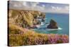 Pink Thrift Flowers, Bedruthan Steps, Newquay, Cornwall, England, United Kingdom-Billy Stock-Stretched Canvas