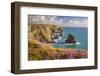 Pink Thrift Flowers, Bedruthan Steps, Newquay, Cornwall, England, United Kingdom-Billy Stock-Framed Photographic Print