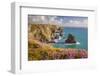 Pink Thrift Flowers, Bedruthan Steps, Newquay, Cornwall, England, United Kingdom-Billy Stock-Framed Photographic Print