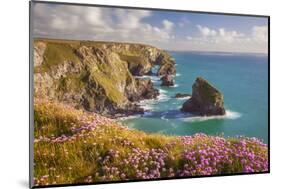 Pink Thrift Flowers, Bedruthan Steps, Newquay, Cornwall, England, United Kingdom-Billy Stock-Mounted Photographic Print