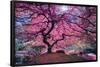 Pink Tree 2 by Moises Levy-Trends International-Framed Poster