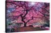 Pink Tree 2 by Moises Levy-Trends International-Stretched Canvas