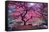 Pink Tree 2 by Moises Levy-Trends International-Framed Stretched Canvas