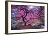 Pink Tree 2-Moises Levy-Framed Photographic Print