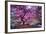 Pink Tree 2-Moises Levy-Framed Photographic Print