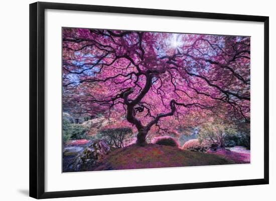 Pink Tree 2-Moises Levy-Framed Photographic Print