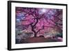 Pink Tree 2-Moises Levy-Framed Photographic Print