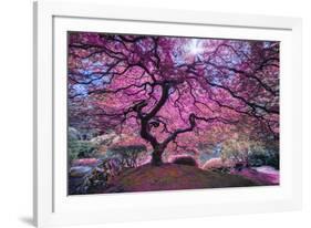 Pink Tree 2-Moises Levy-Framed Premium Photographic Print