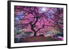 Pink Tree 2-Moises Levy-Framed Premium Photographic Print