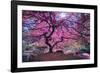 Pink Tree 2-Moises Levy-Framed Premium Photographic Print