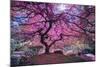 Pink Tree 2-Moises Levy-Mounted Premium Photographic Print