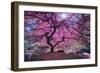 Pink Tree 2-Moises Levy-Framed Premium Photographic Print