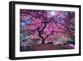 Pink Tree 2-Moises Levy-Framed Premium Photographic Print