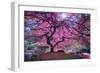 Pink Tree 2-Moises Levy-Framed Premium Photographic Print