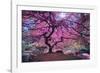 Pink Tree 2-Moises Levy-Framed Photographic Print