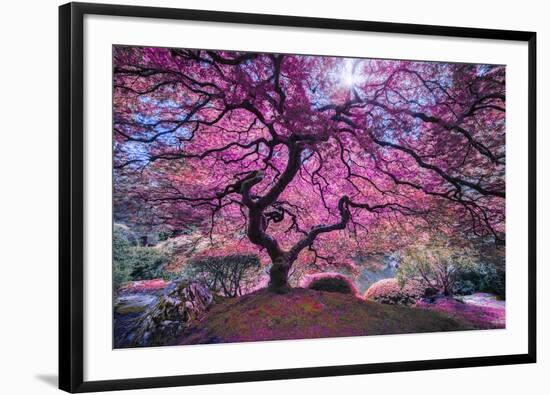 Pink Tree 2-Moises Levy-Framed Photographic Print