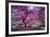 Pink Tree 2-Moises Levy-Framed Photographic Print