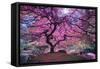 Pink Tree 2-Moises Levy-Framed Stretched Canvas