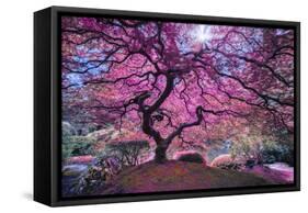 Pink Tree 2-Moises Levy-Framed Stretched Canvas