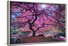 Pink Tree 2-Moises Levy-Framed Photographic Print