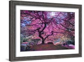 Pink Tree 2-Moises Levy-Framed Photographic Print