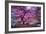 Pink Tree 2-Moises Levy-Framed Photographic Print