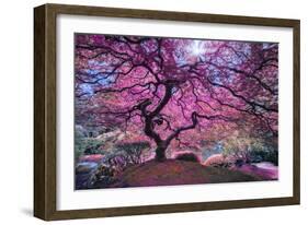 Pink Tree 2-Moises Levy-Framed Photographic Print