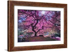 Pink Tree 2-Moises Levy-Framed Photographic Print