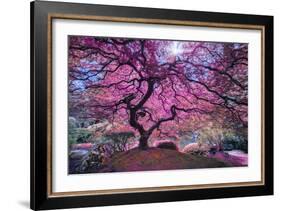 Pink Tree 2-Moises Levy-Framed Photographic Print