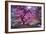 Pink Tree 2-Moises Levy-Framed Photographic Print