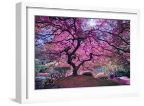 Pink Tree 2-Moises Levy-Framed Photographic Print