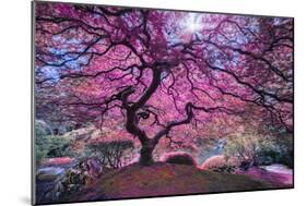 Pink Tree 2-Moises Levy-Mounted Photographic Print