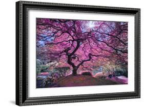 Pink Tree 2-Moises Levy-Framed Photographic Print