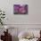 Pink Tree 2-Moises Levy-Photographic Print displayed on a wall