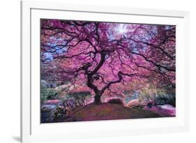 Pink Tree 2-Moises Levy-Framed Photographic Print