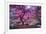 Pink Tree 2-Moises Levy-Framed Photographic Print