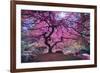 Pink Tree 2-Moises Levy-Framed Photographic Print