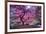 Pink Tree 2-Moises Levy-Framed Photographic Print