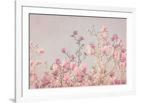 Pink Tree Tops II-Elizabeth Urquhart-Framed Photographic Print