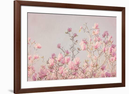 Pink Tree Tops II-Elizabeth Urquhart-Framed Photographic Print