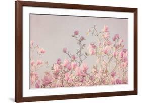 Pink Tree Tops II-Elizabeth Urquhart-Framed Photographic Print