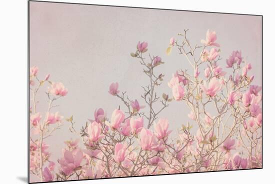 Pink Tree Tops II-Elizabeth Urquhart-Mounted Photographic Print