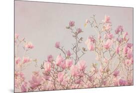 Pink Tree Tops II-Elizabeth Urquhart-Mounted Photographic Print