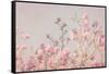 Pink Tree Tops II-Elizabeth Urquhart-Framed Stretched Canvas