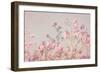 Pink Tree Tops II-Elizabeth Urquhart-Framed Photo