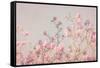 Pink Tree Tops II-Elizabeth Urquhart-Framed Stretched Canvas