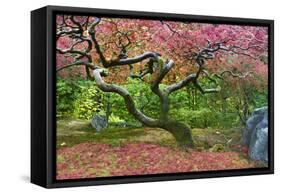 Pink Tree-Moises Levy-Framed Stretched Canvas