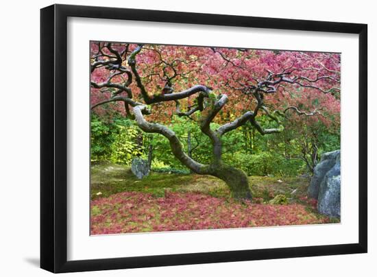 Pink Tree-Moises Levy-Framed Photographic Print