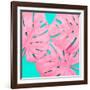 Pink Tropical Palm Leaves of Monstera in Vibrant Bold Color on Turquoise Background-Katya Havok-Framed Photographic Print